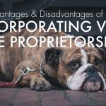 What are the pros and cons of incorporation